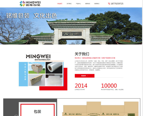 廣州網站制作，域名服務器租用，廣州網站建設